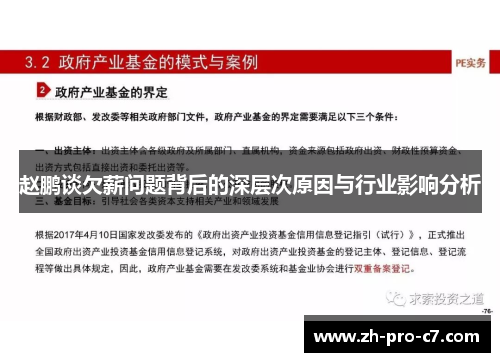 赵鹏谈欠薪问题背后的深层次原因与行业影响分析