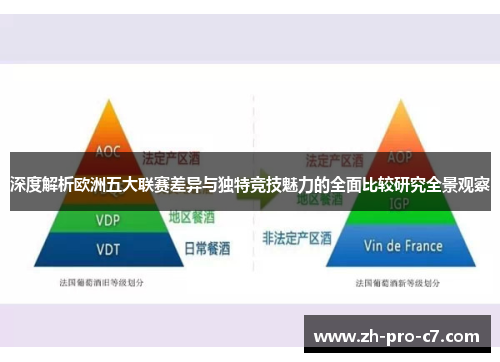 深度解析欧洲五大联赛差异与独特竞技魅力的全面比较研究全景观察